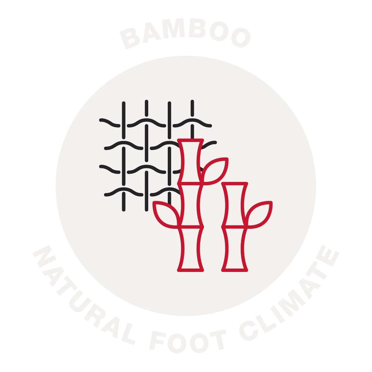 ara bamboo